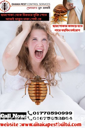 Pest Control Service Dhaka Bangladesh